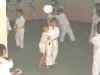 judo3.jpg (38669 bytes)